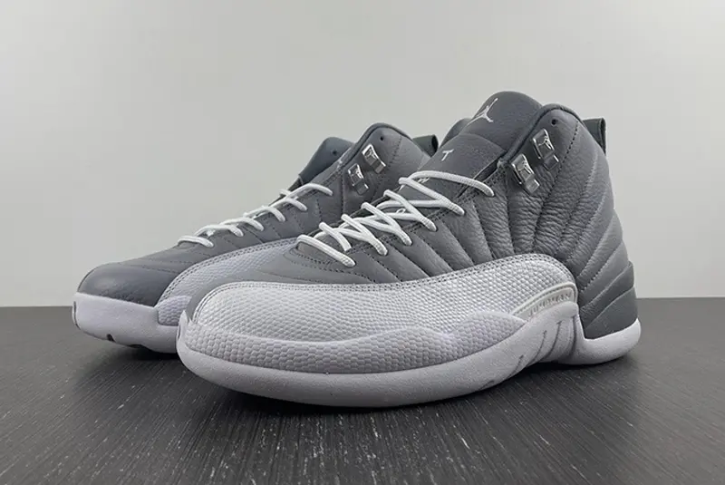 Air Jordan 12 STEALTH  CT8013-015