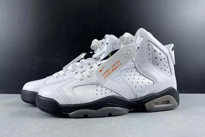 AIR JORDON 6 RETRO 384665-110