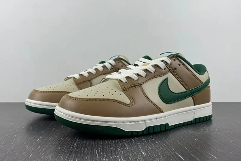 Nike Dunk Low Retro FB7160-231